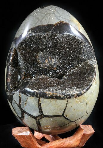 Septarian Dragon Egg Geode - Black Crystals #57445